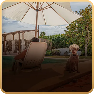 India's Favourite <br>Pet friendly Homestay